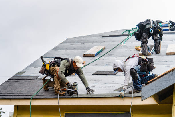 Professional Roof Replacement technician working in Lena, IL